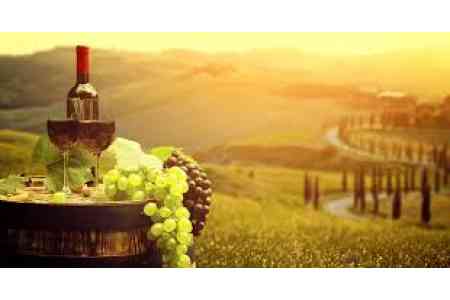 World Wine Tourism Organization interested in cooperation with  Armenia 