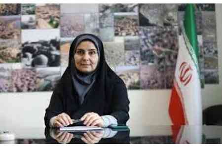 Tehran, Yerevan agree to construct second border bridge - Iranian  official