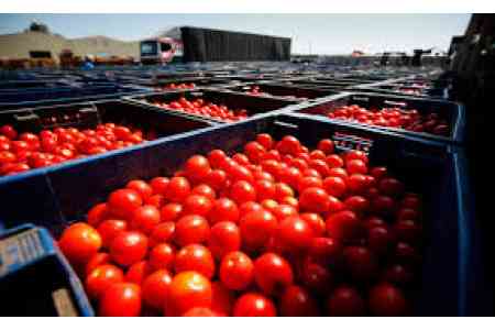 Armenia exports 99.9% of its tomatoes to Russia