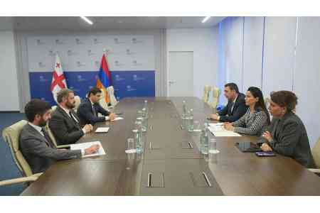 Armenia, Georgia discuss cooperation in transport and logistics