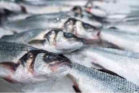 Armenia the sixth  largest exporter of fish to the Russian market