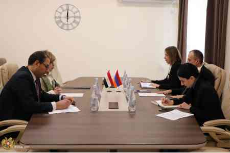 Armenia, Egypt discuss cooperation on labor mobility and social  protection