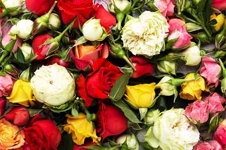 Armenia has significantly increased flower exports - Deputy Economy  Minister 