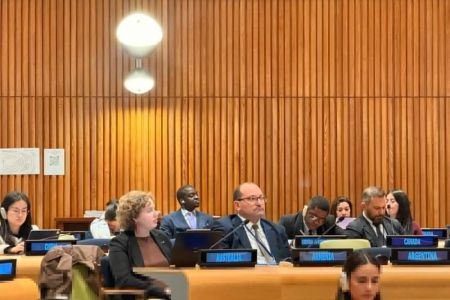 Armenia participates in  2026 ECOSOC Forum on Financing for  Development 
