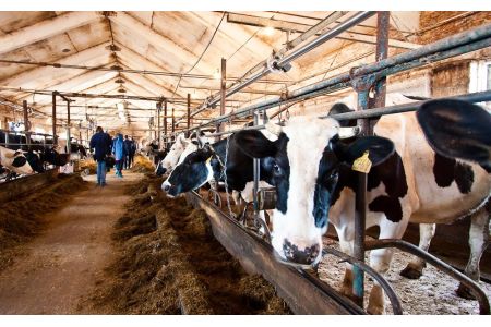 Armenia`s livestock investment support program to be extended