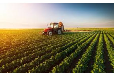 Власти Армении начинают новую программу субсидирования процентных ставок по кредитам, предоставленным агропродовольственному сектору